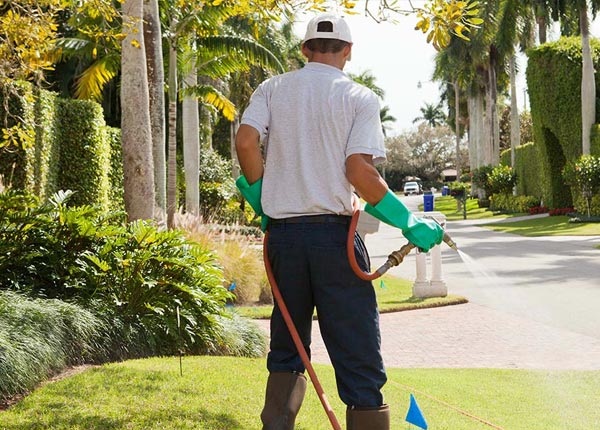 About Combs KY Pest Control